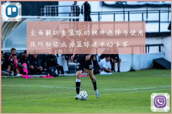 全面解析看篮球的软件选择与使用技巧助你成为篮球迷中的专家