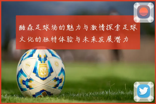 酷森足球场的魅力与激情探索足球文化的独特体验与未来发展潜力
