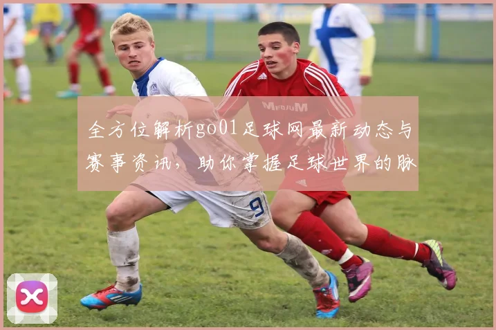 全方位解析go01足球网最新动态与赛事资讯，助你掌握足球世界的脉动与精彩瞬间