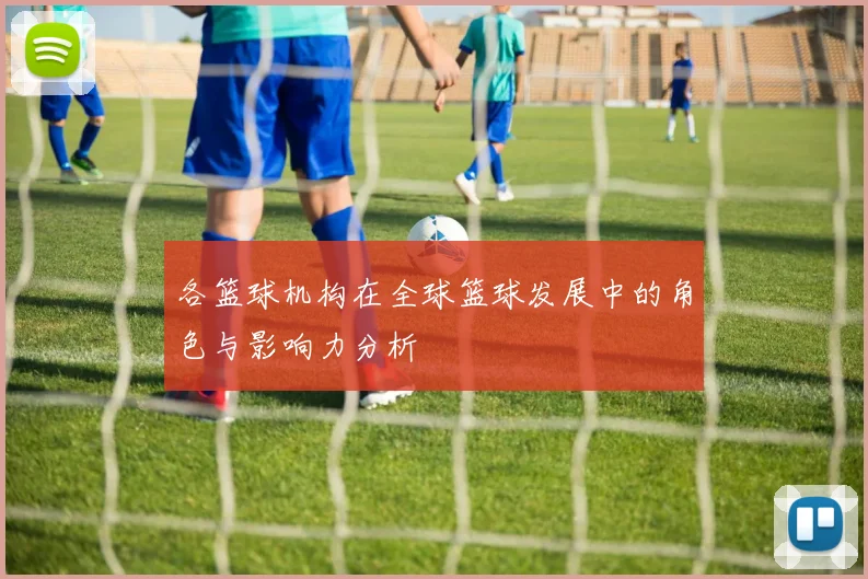 各篮球机构在全球篮球发展中的角色与影响力分析