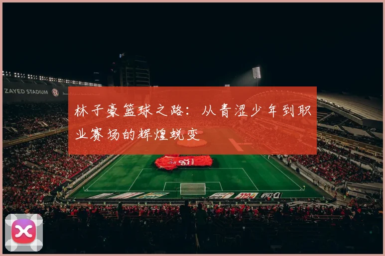 林子豪篮球之路：从青涩少年到职业赛场的辉煌蜕变